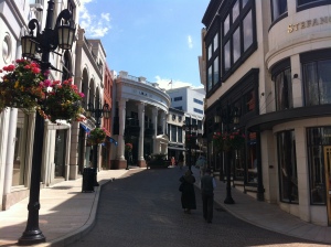 Rodeo Drive, I just wanted to see it, we didn't actually go in any stores